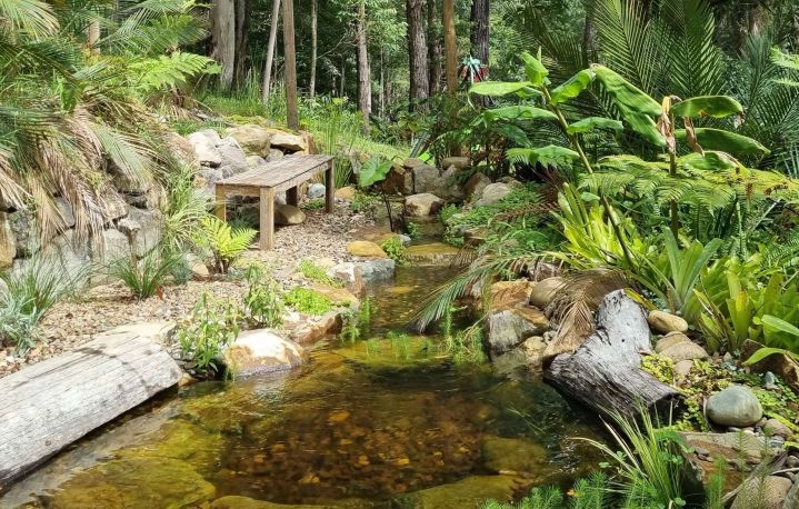 Central Coast natural pond building, design and consultation in a residential backyard