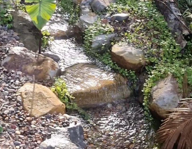 Central Coast pond maintenance and cleaning service