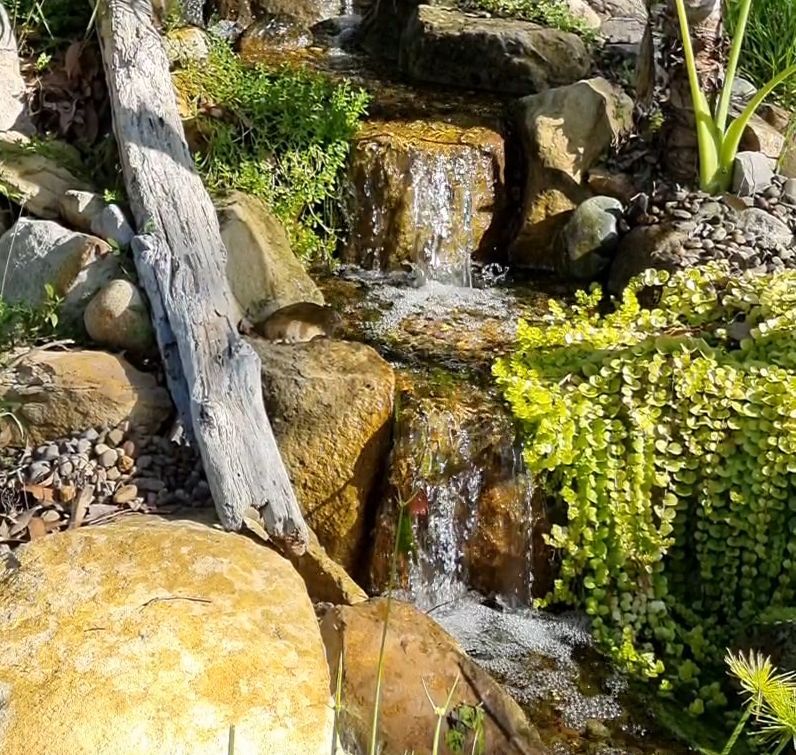 Garden stream and waterfall water feature on the NSW Central Coast